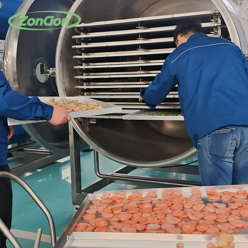 Freeze Dryer Machine 