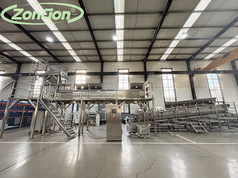 Workshop Real Shot! ZonGon Continuous Spice Steam Sterilization Production Line, Completely Solving the Sticking Problem!